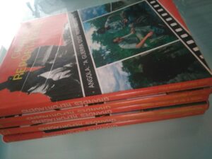 Angola: "A guerra dos Robinsons" (1) - José Manuel Barata-Feyo