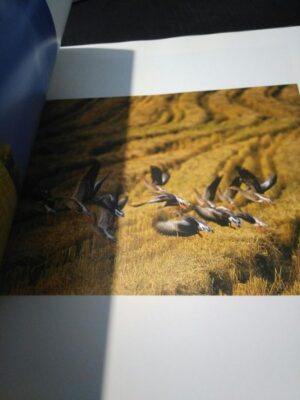 Enchanted Land (Pictures from nature in Sweden) - Jan-Peter Lahall / Hans Odöö