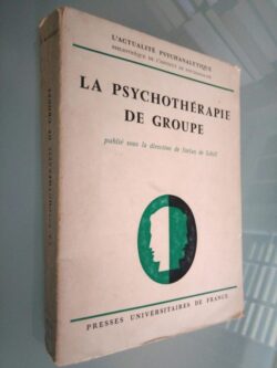 La psychothérapie de group - Stefan de Schill