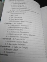 O enigma do sofrimento - Georges Stéveny