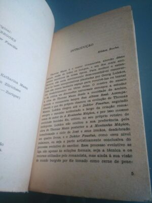 Os buddenbrooks (1.° volume) - Thomas Mann