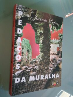 Pedaços da muralha - Jacinta Lopes