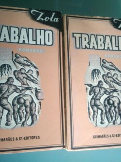 Trabalho (2 vols.) - (tradução de Dr. Campos Lima) - Emílio Zola