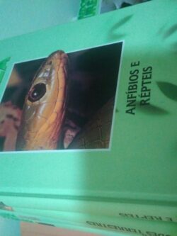 Anfíbios e répteis -