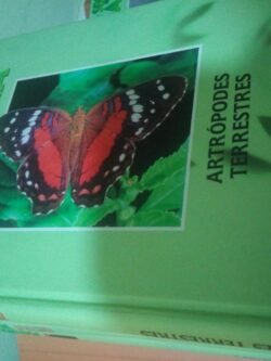 Atrópodes terrestres -