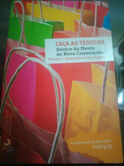 Caça ao Tesouro Dentro da mente do novo consumidor - M. J. Silverstein
