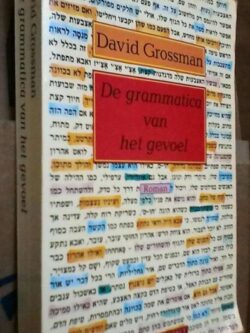 De grammatica van het gevoel - David Grossman