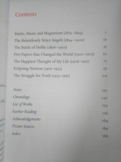 Einstein (idioma: Inglês) - Peter D. Smith 