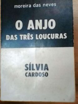 O anjo das três loucuras - Sílvia Cardoso - Moreira das Neves