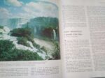 O assombroso mundo da natureza -