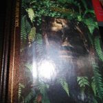 Vanishings -