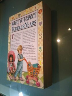What to expect the toddler years - Arlene Eisenberg / Heidi Murkoff / Sandee Hathaway
