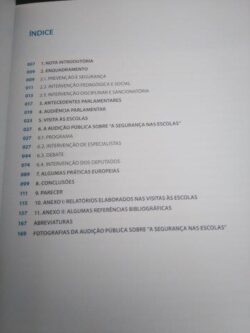 A segurança nas escolas – Reflexões e conclusões (volume 1) -