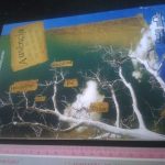 Ausência - Dulce de Souza Gonçalves