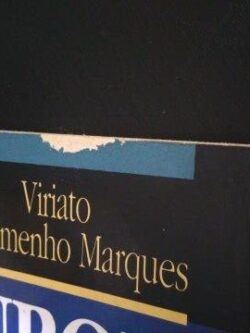 Europa (Labirinto ou Casa Comum) - Viriato Soromenho Marques