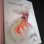 Labirinto sensível + Antologia pessoal - Annabela Rita / Casimiro de Brito