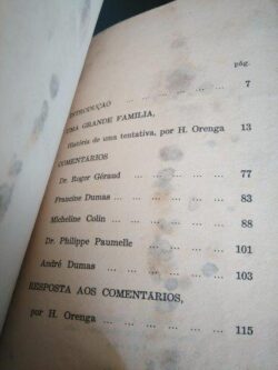 Uma grande família - Hélène Orenga