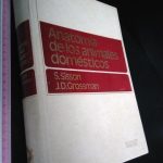 Anatomía de los animales domésticos - S. Sisson / J. D. Grossman
