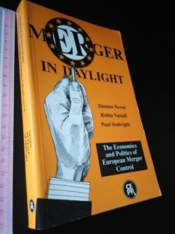 Merger in daylight - Damien Neven