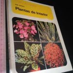 Plantas de interior - Rob Hervig