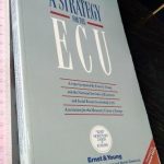 A strategy for the ECU (Ernst Young) -