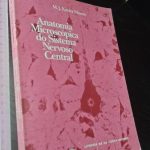 Anatomia microscópica do sistema nervoso central - M. J. Xavier Morato