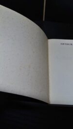 Arthur Rimbaud - Lionel Ray