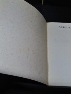 Arthur Rimbaud - Lionel Ray