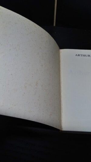 Arthur Rimbaud - Lionel Ray