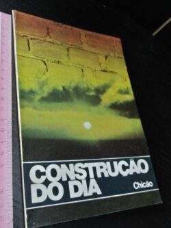Construção do dia - Chicão (Francisco José Trindade Barretto)