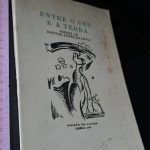 Entre o céu e a terra - Manuel Lopes da Silva