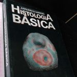 Histologia básica - L. C. Junqueira / José Carneiro