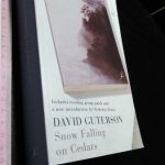 Snow falling on cedars - David Guterson