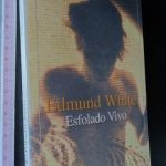 Esfolado vivo - Edmund White