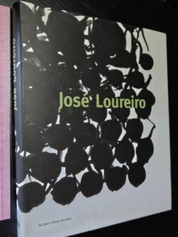 José Loureiro (Pintura