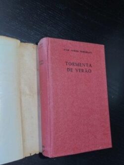 Tormenta de Verão - Juan Garcia Hortelano