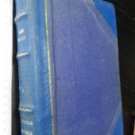 A Novella historica - J. A. d'Oliveira Mascarenhas