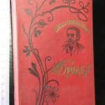 A neta do arcedíago - Camillo Castello Branco