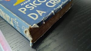 Psicologia da criança - Mário Gonçalves Viana