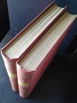 Dicionário da Pintura Universal (2 vols. - Estúdios Cor) -