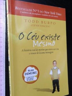 O céu existe mesmo - Todd Burpo