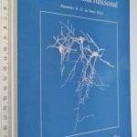 Via auditiva neuro-anatomia funcional - Alexandre A. G. de Sousa Pinto