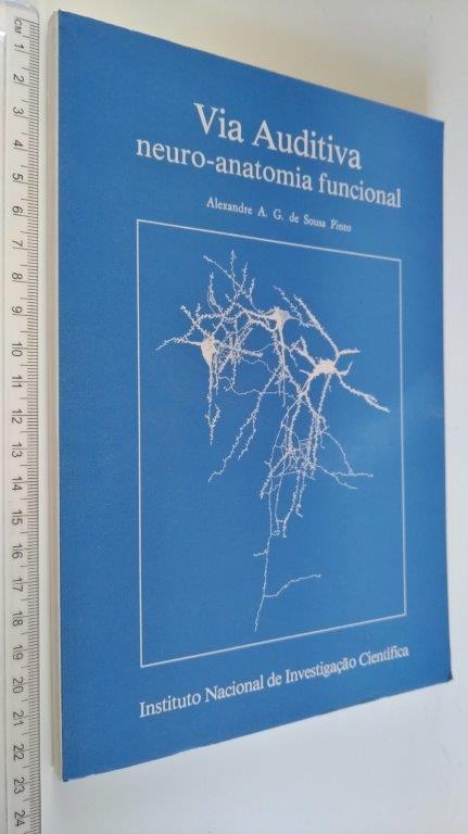 Via auditiva neuro-anatomia funcional - Alexandre A. G. de Sousa Pinto Via auditiva neuro-anatomia funcional - Alexandre A. G. de Sousa Pinto