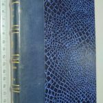 O homem e a empresa - M. Aumont