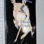 O velejador de abismos - Berredo de Menezes