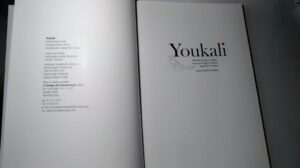 YOUKALI - António Borges Coelho