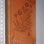 Migalhas de história portugueza - Pinheiro Chagas