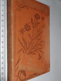 Migalhas de história portugueza - Pinheiro Chagas