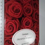 https://esconderijodoslivros.pt/wp-content/uploads/2019/11/B11-Livro-n%c3%a3o-catalogado-118.jpg