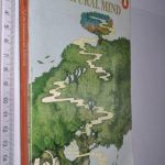 https://esconderijodoslivros.pt/wp-content/uploads/2019/11/B8-Livro-n%c3%a3o-catalogado-94.jpg